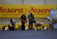 Esztergom 2xCAC Dog Show (H) 