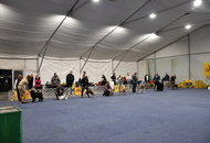 Esztergom 2xCAC Dog Show (H) 