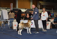 IHA Wels 2023 - Christmas Winner