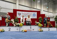 IHA Tulln 2023 - Danube Winner