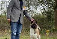 Hunting Dog Show CAC Kaposvár (HU)