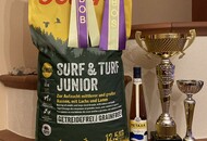 Esztergom 2xCAC Dog Show (H) 