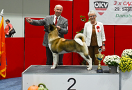 IHA Tulln 2023 - Danube Winner