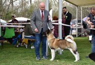 -24. 03. 2024 - PÉCS-SZENTLŐRINC -24. 03. 2024 - PÉCS-SZENTLŐRINC