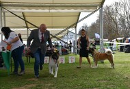 -24. 03. 2024 - PÉCS-SZENTLŐRINC -24. 03. 2024 - PÉCS-SZENTLŐRINC