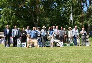 CAC Dog Show Herend (H) CAC Dog Show Herend (H)
